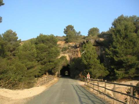 Túneles entre pino carrasco