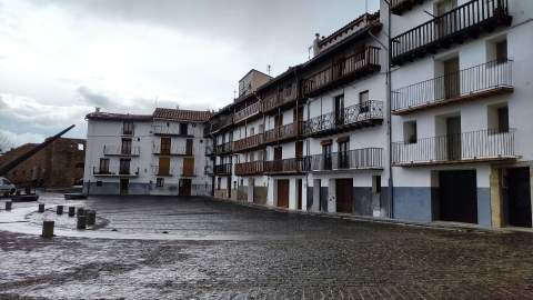 Morella