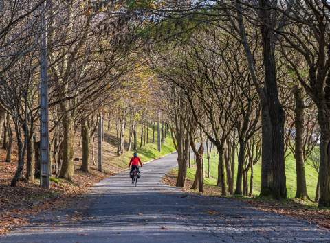 Entorno del Monte Avril. Bilbao