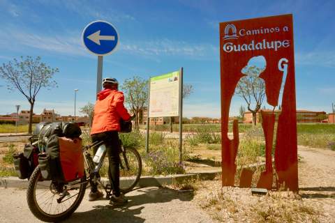Camino de Guadalupe