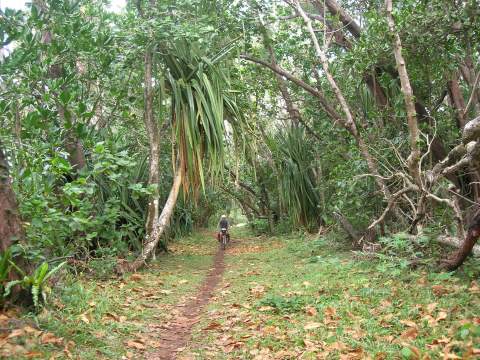 Sendero que transcurre por Vinanivao, Ampanavoana y Ratsianarana