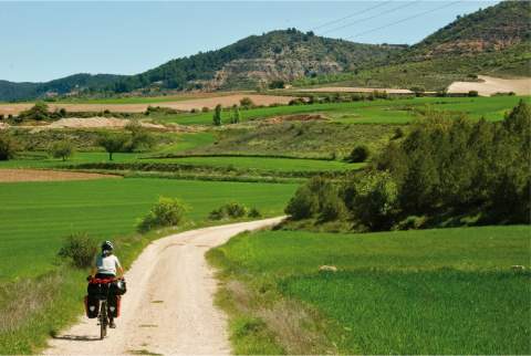 Camino de Hontoba