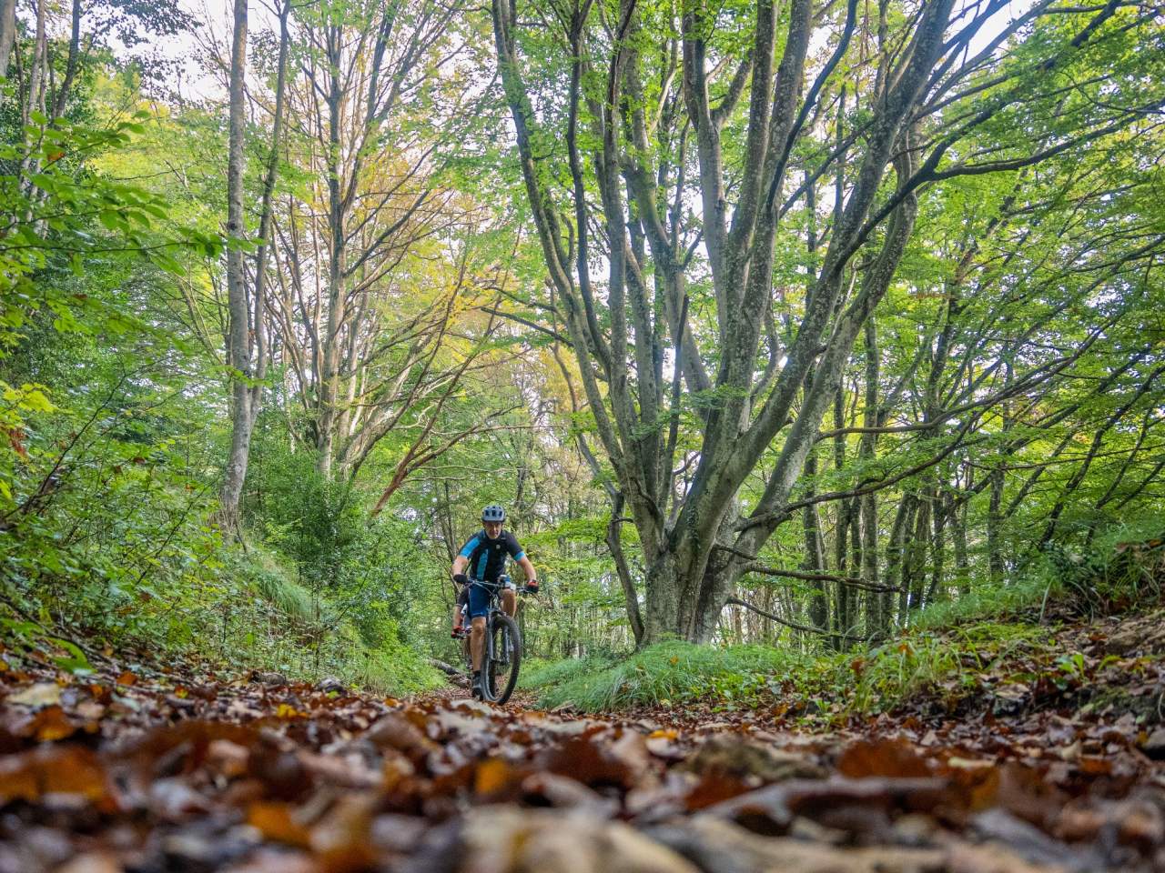 Álava destino en bici a tu ritmo