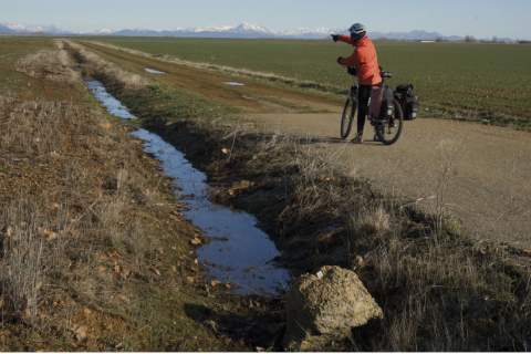 Camino Francés cerca de El Burgo Ranero
