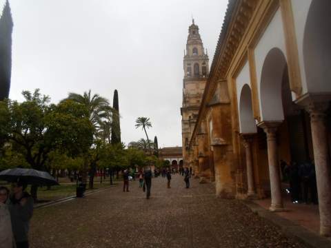Plaza de los Naranjos en Córdoba